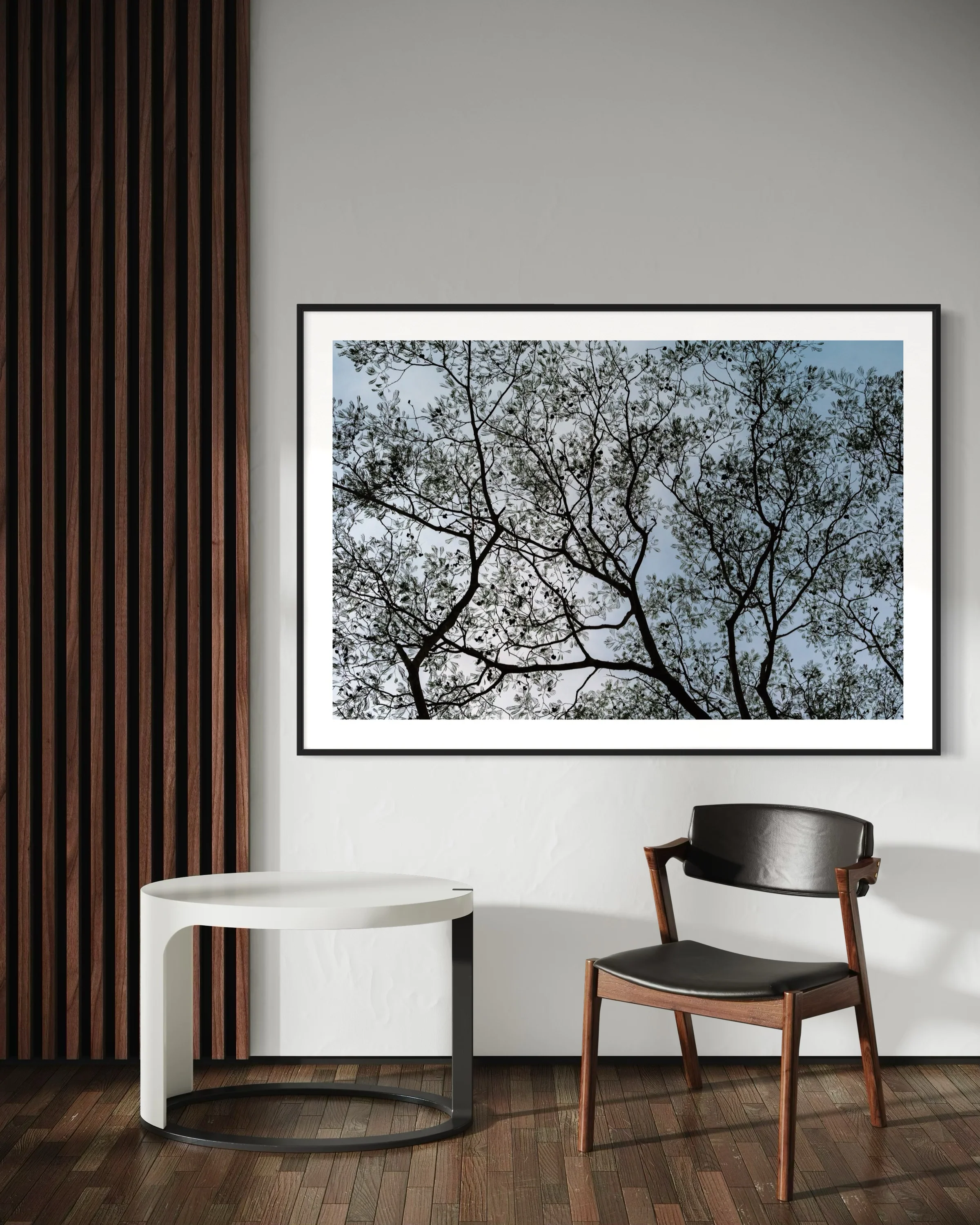 Costa Canopy - Image 4