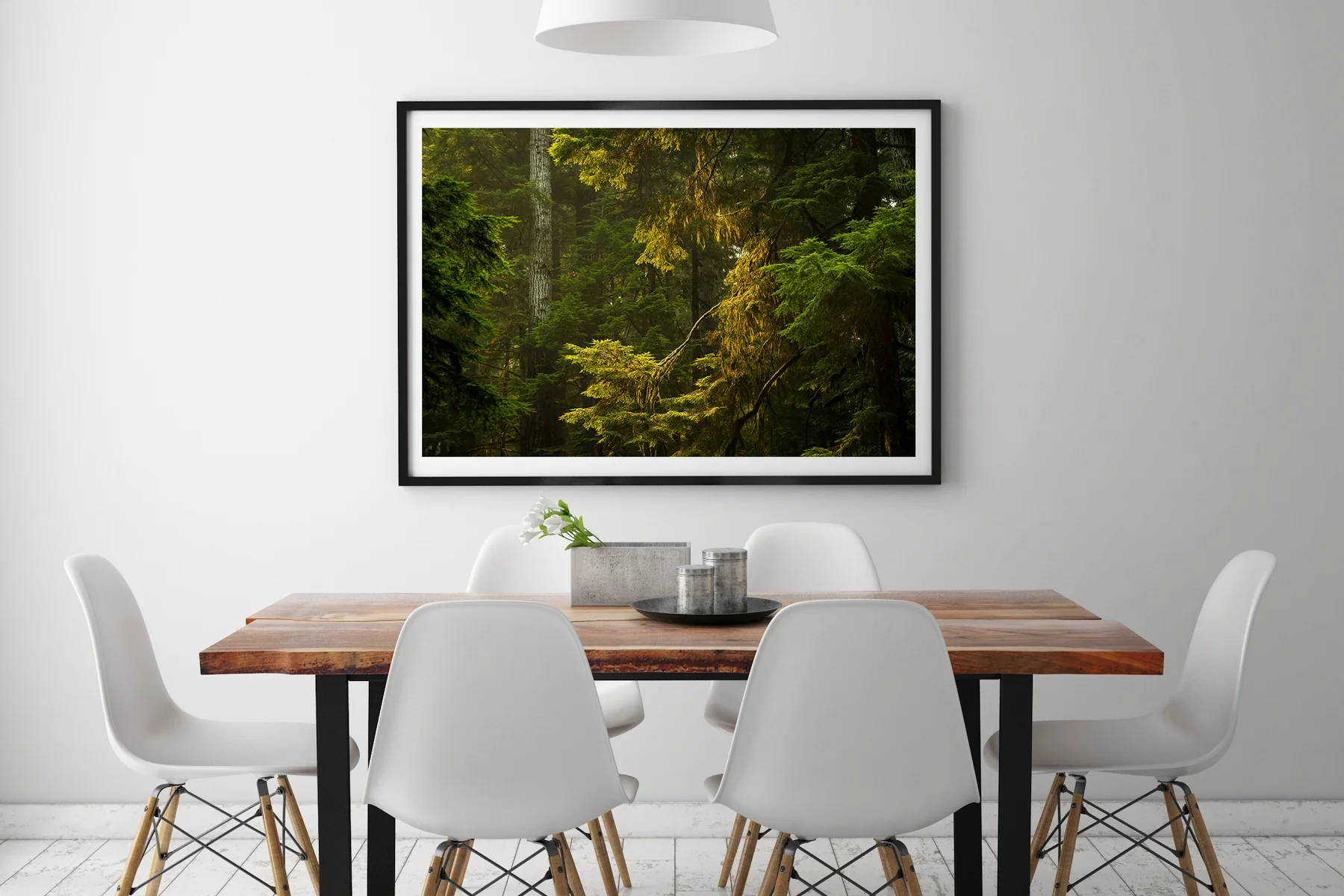 Coastal Forest - Image 3